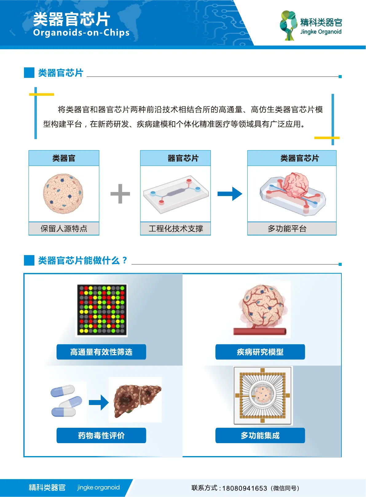 类器官芯片使用指南第 1 页