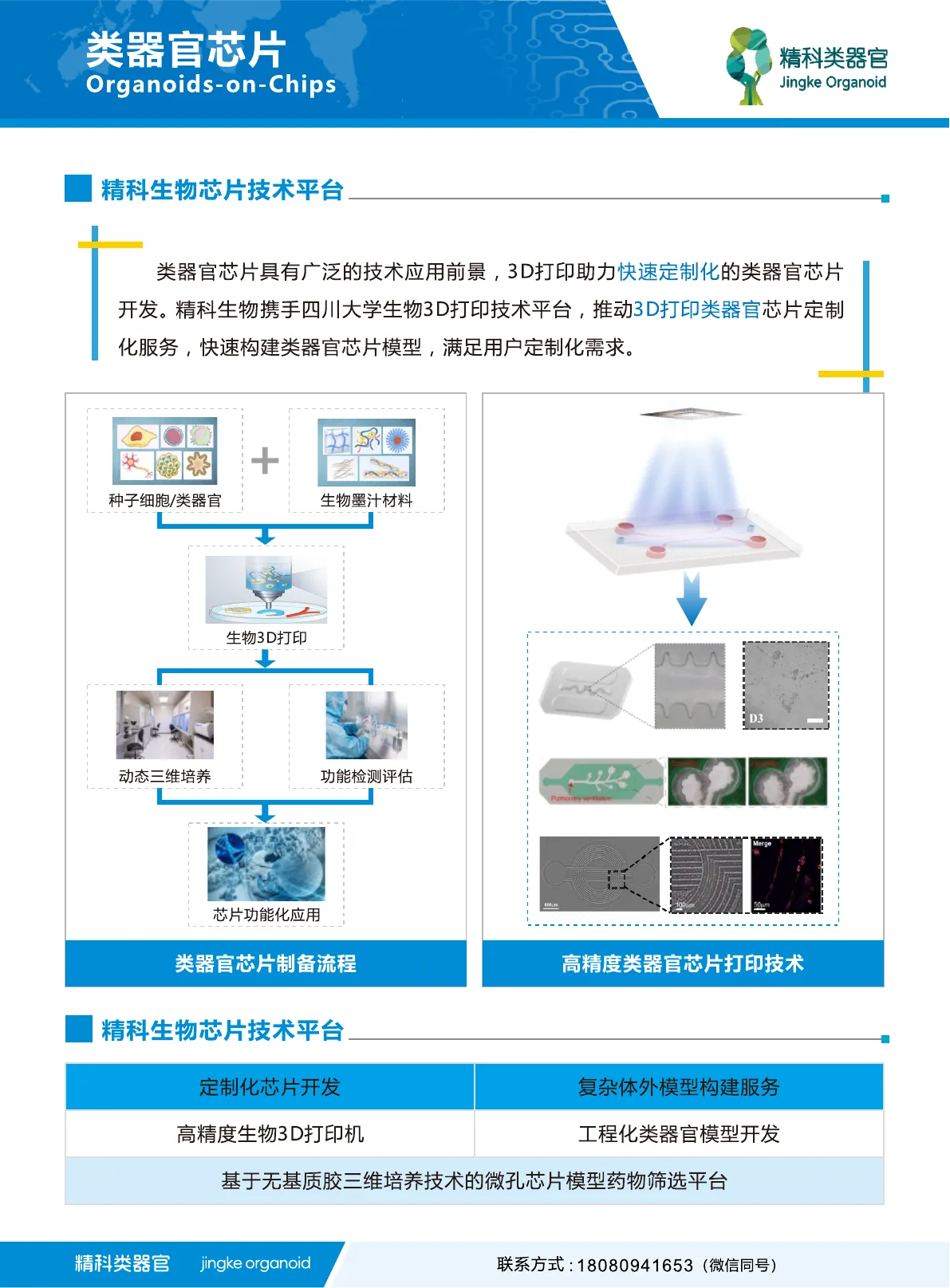 类器官芯片使用指南第 2 页