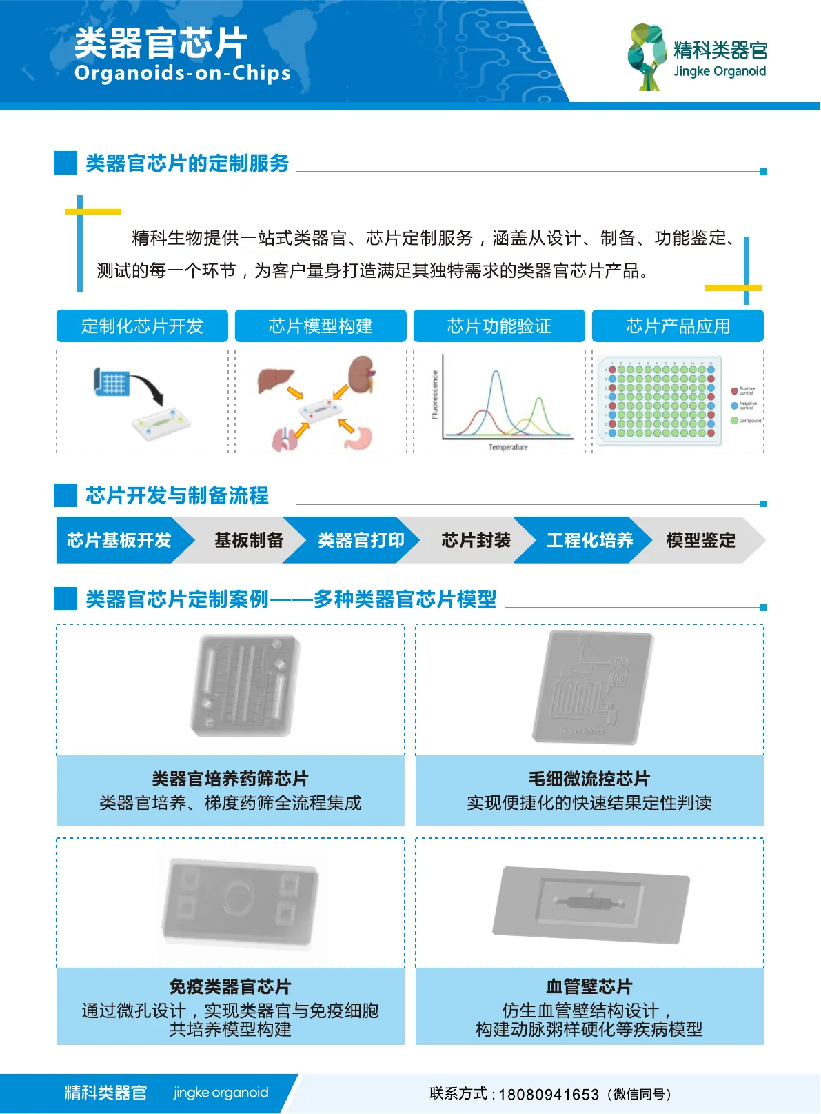 类器官芯片使用指南第 3 页