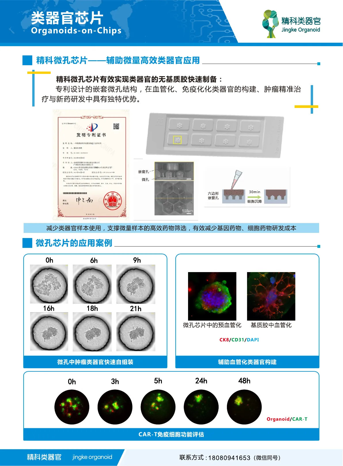类器官芯片使用指南第 4 页
