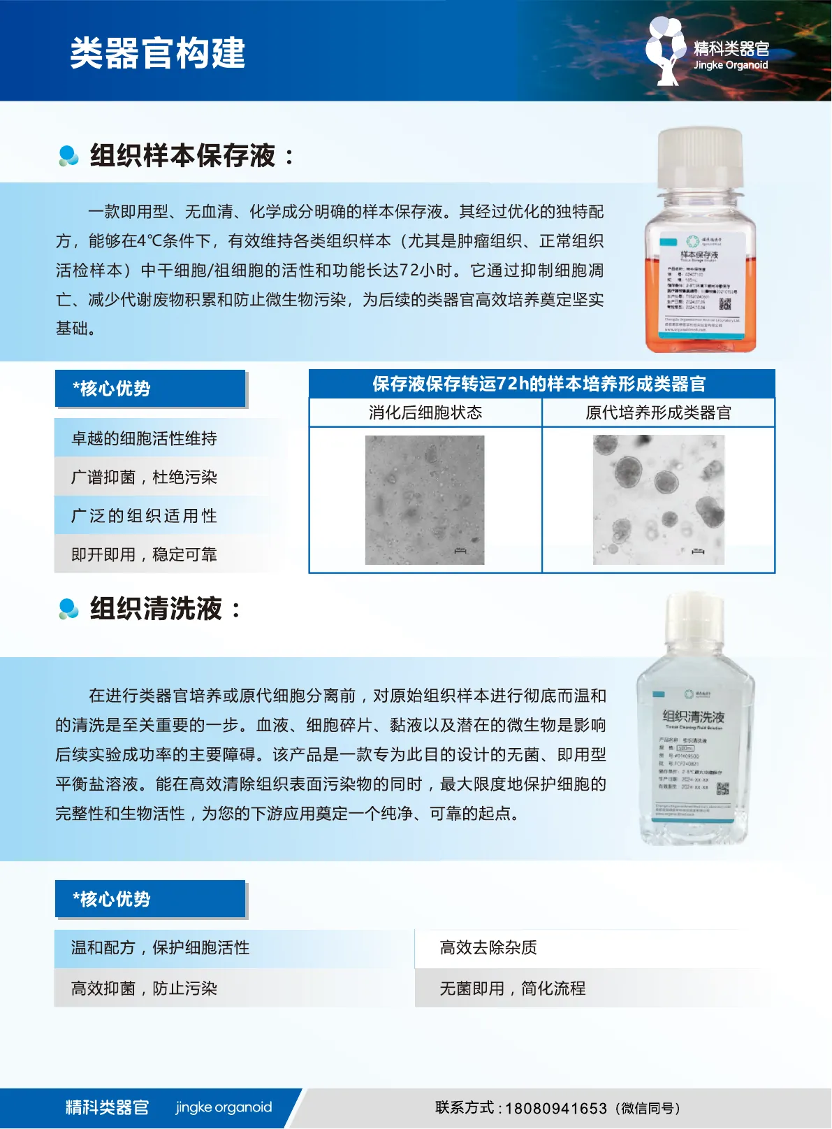 肿瘤/正常类器官培养基说明书第 2 页