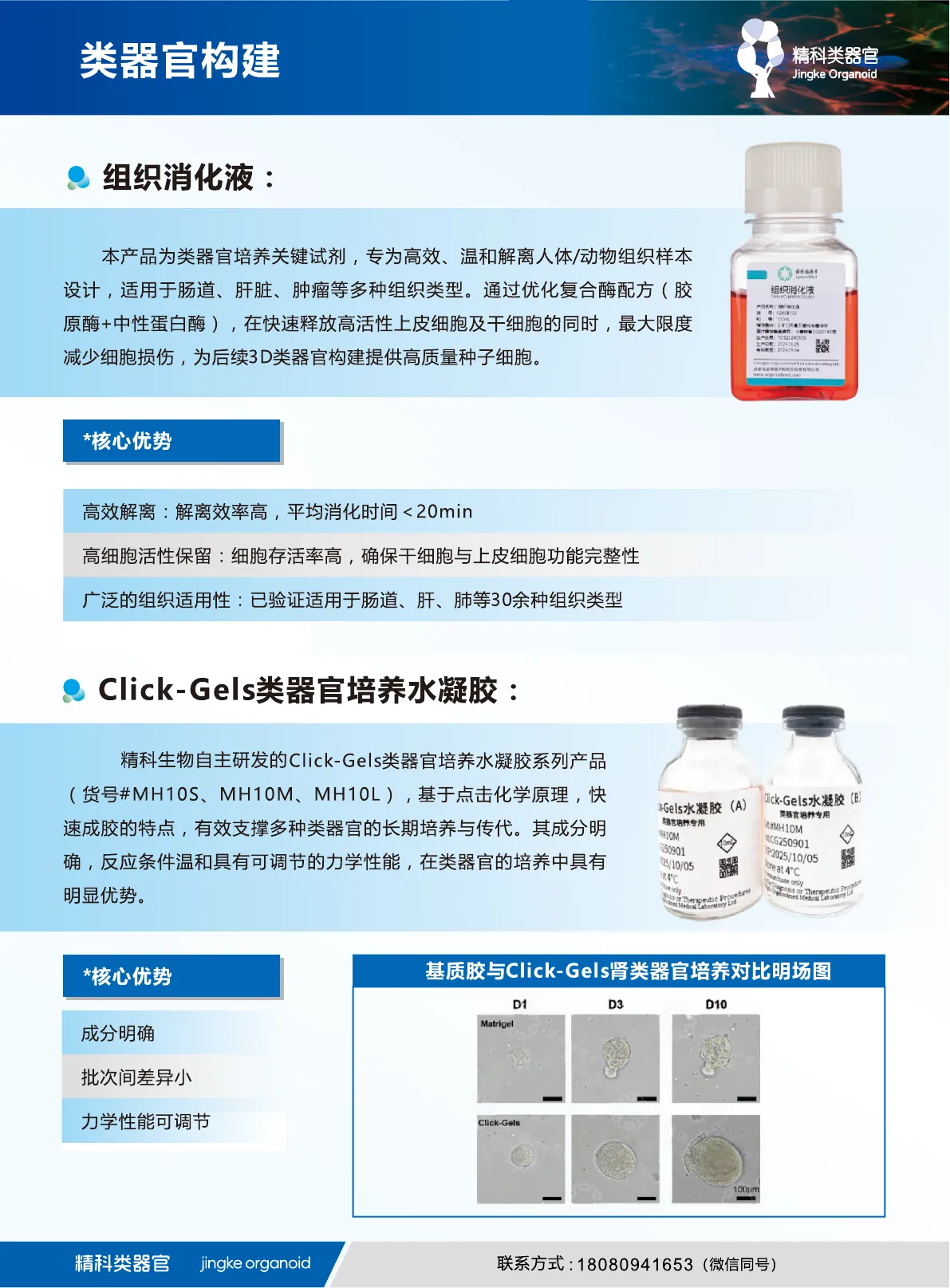 肿瘤/正常类器官培养基说明书第 3 页
