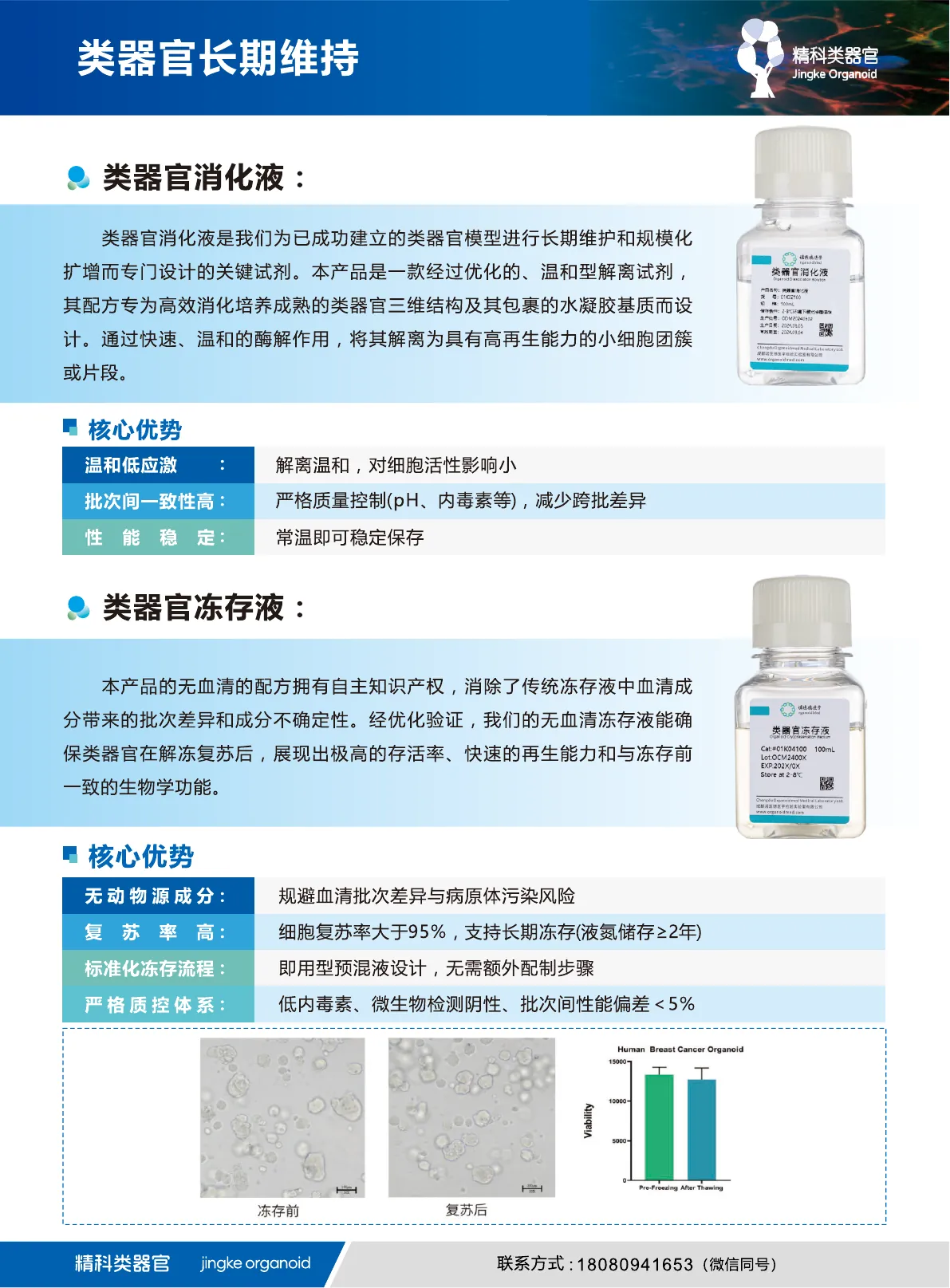 肿瘤/正常类器官培养基说明书第 5 页