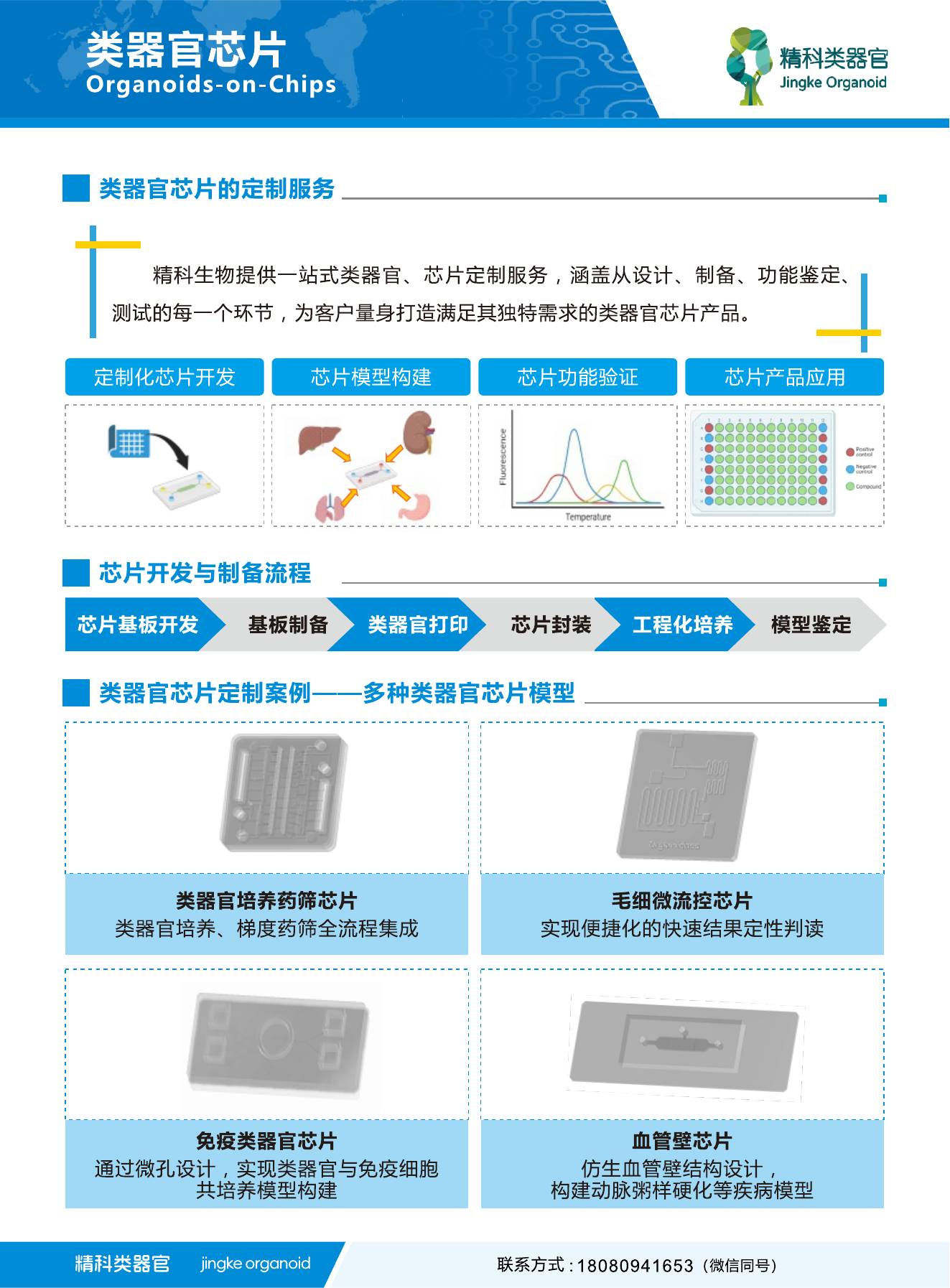芯片总第 3 页