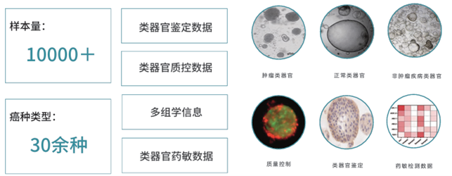 类器官生物样本库