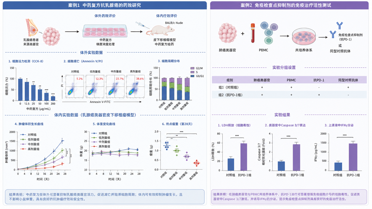 中药复方抗乳腺癌的药效研究与免疫检查点抑制剂的免疫治疗活性测试