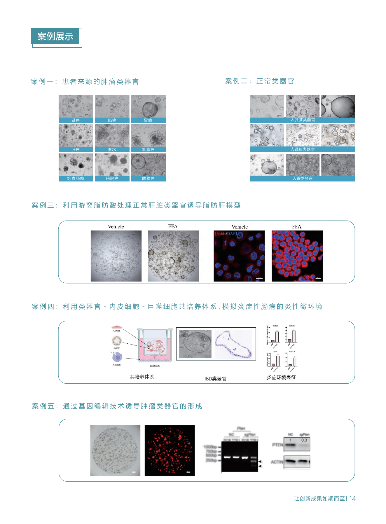 科研技术服务第 7 页
