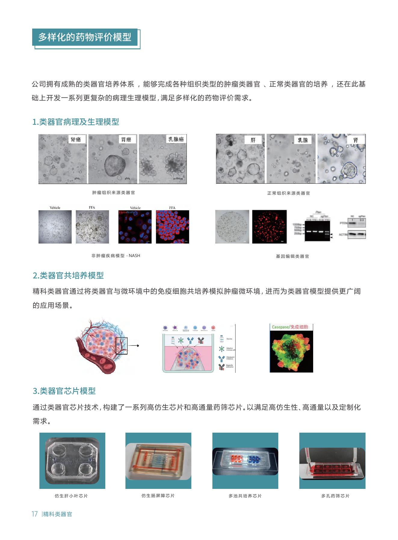 科研技术服务第 10 页