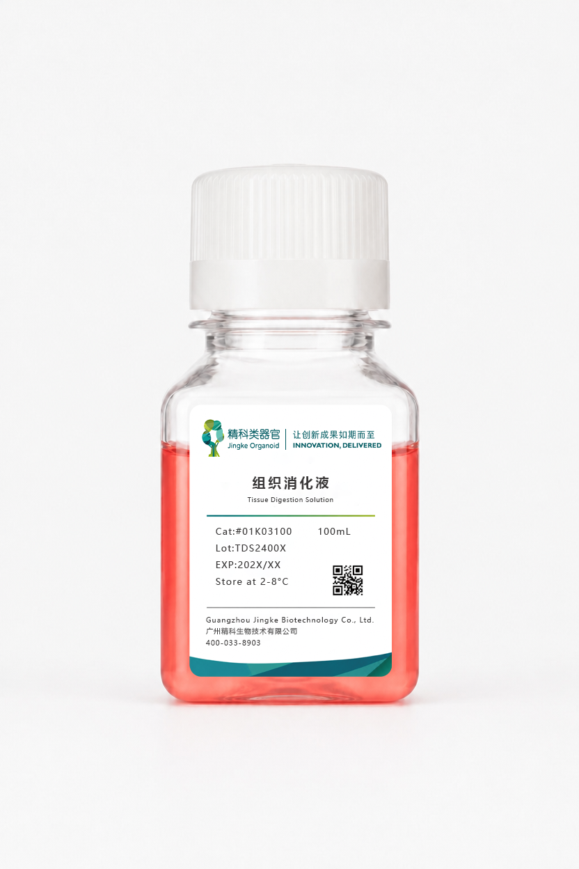 组织消化液