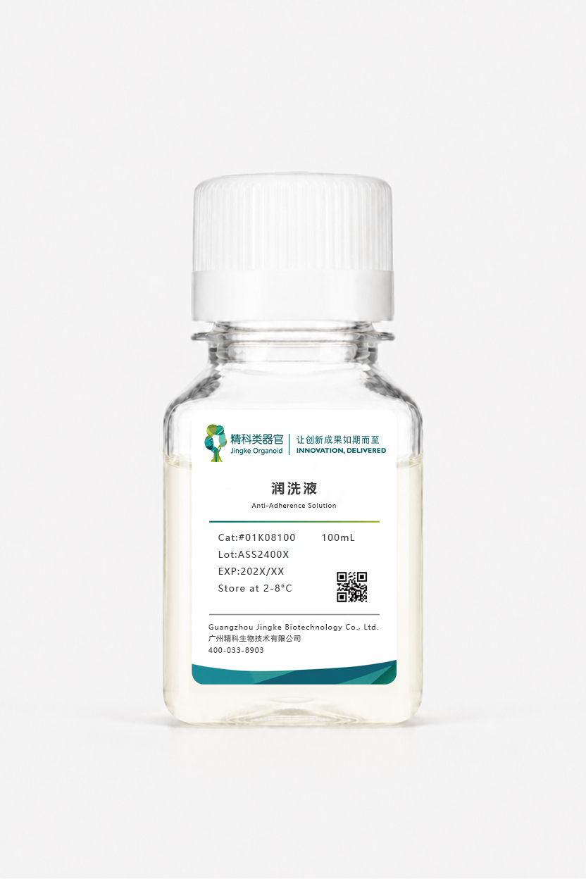 润洗液