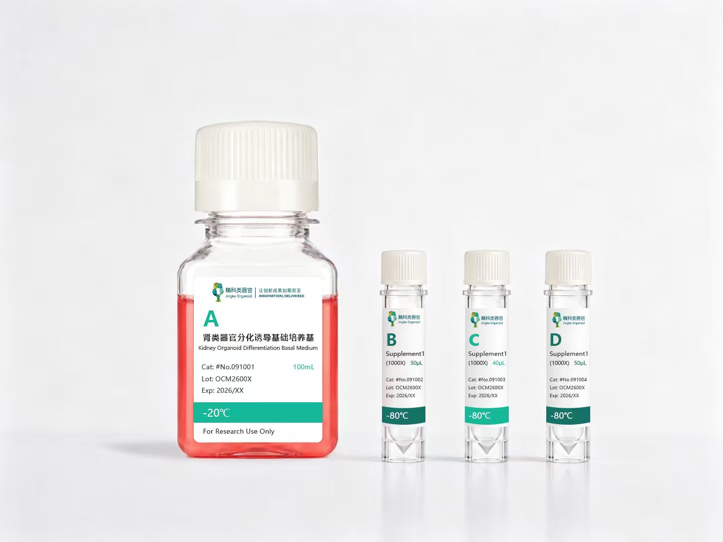 人iPSC来源肾类器官高通量诱导分化试剂盒